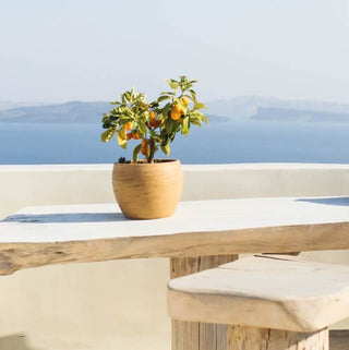 Apotheke Sea Salt Grapefruit Candle mood