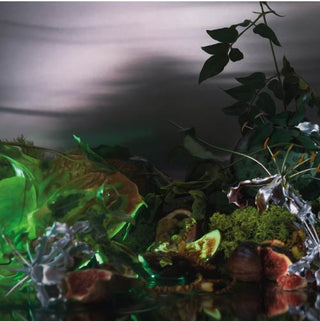 Boy Smells Agua De Jardin Candle 8.5oz Mood