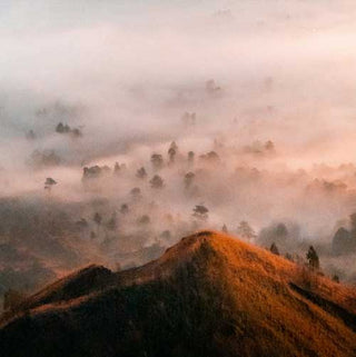 Brooklyn Candle Studio Bali mood