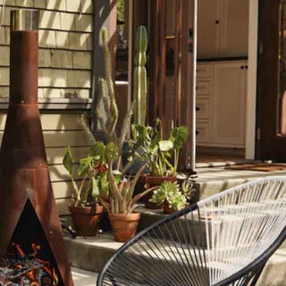 P.F. Candle Co Black Fig Mood backyard fig tree fireplace retro rubber chair