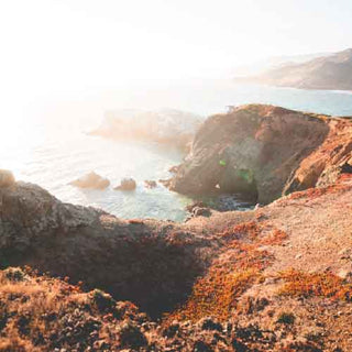 P.F. Candle Co Golden Coast Mood