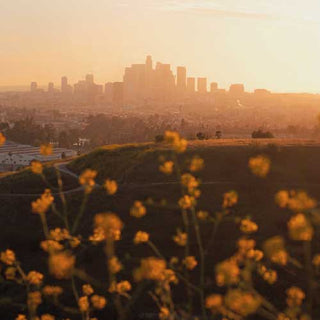 P.F. Candle Co Los Angeles Mood