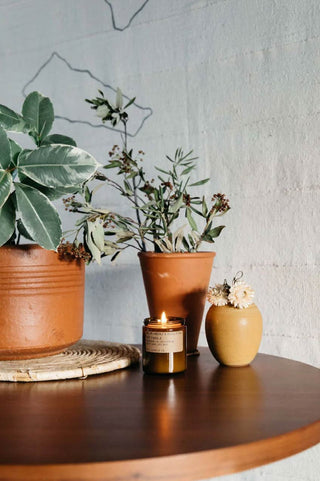 P.F. Candle Co No.16 Neroli and Eucalyptus Candle 7.2oz on table with terra pots of daisy flowers and plants