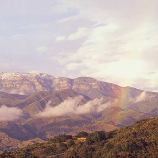 P.F. Candle Co Ojai Lavender home fragrance Mood majestic mountains in shades of purple and rainbow