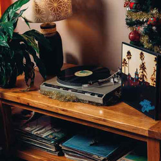 P.F. Candle Co Spruce Mood