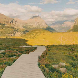 P.F. Candle Co Wild Herb Tonic Mood