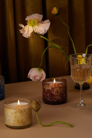 Paddywax Baltic Ember Candle Lifestyle