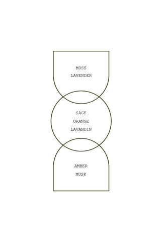 Amber & Moss Incense Sticks