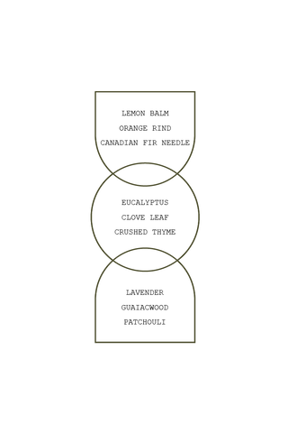 Wild Herb Tonic Incense Sticks