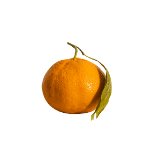 Citrus