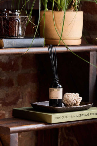 p.f. candle co enoki and cedar reed diffuser with reed sticks in 103ml glass bottle placed on a wooden tray next to a rose calcite atop a book brick wall background with plant pot decor grounding earthy home fragrance

